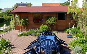 Haus Elsholz Usseln Fewo Birke